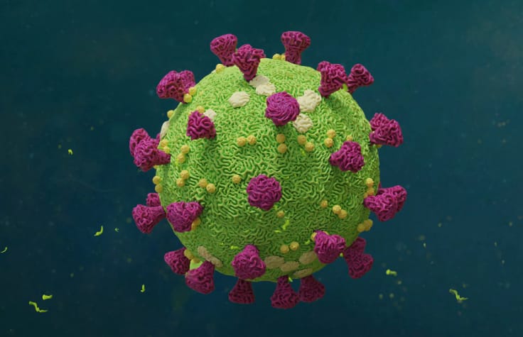 识别新型冠状病毒毒株和其他新出现的病原体