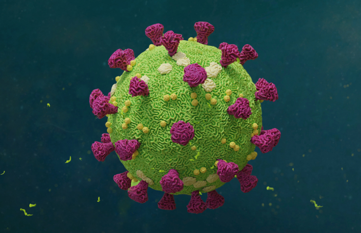 Identify Novel Strains of Coronavirus and Other Emerging Pathogens