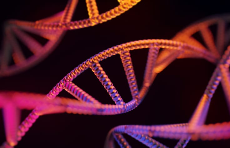 基因组学可以阻止世界领先的死因吗?