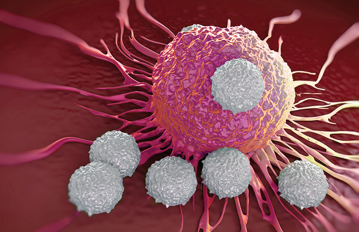 癌症细胞免疫细胞免疫系统