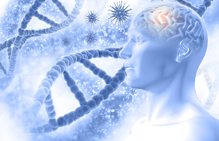 基因组学的冒险：不包含Alzheimer的秘密