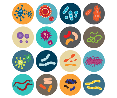 背景：微生物基因组学的许多方面