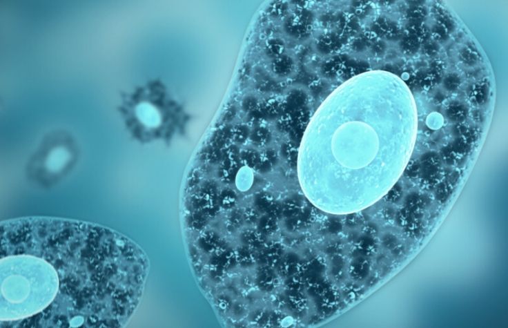 魏茨曼研究所使用NovaSeq来推动单细胞研究