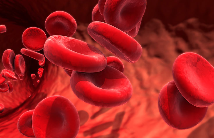 在血液中，用血状的细胞和血状细胞分离