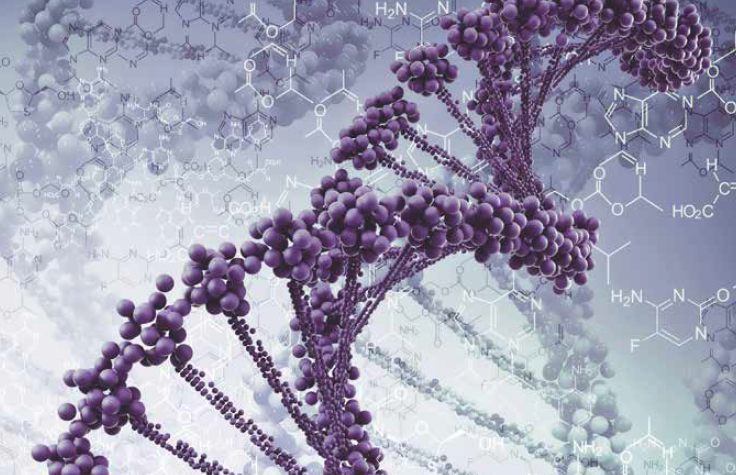 DNADNA测试结果