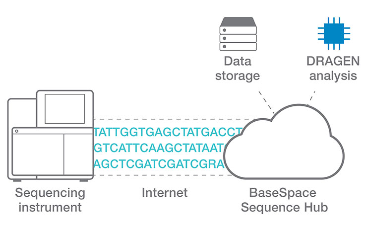 在Basespace序列集线器上拖动