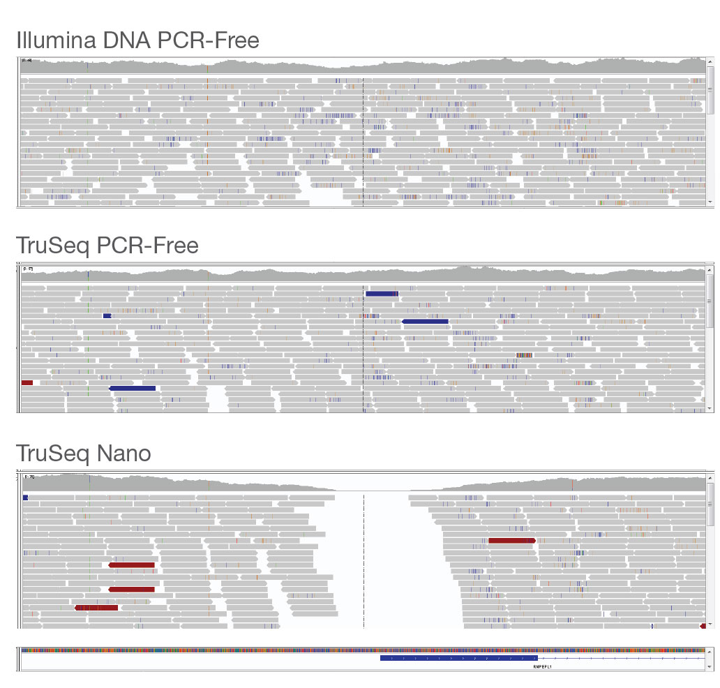 Illumina DNA PCR-Free覆盖均匀性