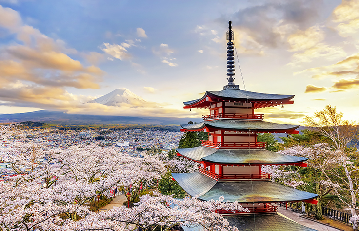 日本と東南アジアにおける遺伝子検査のカスタマイズ