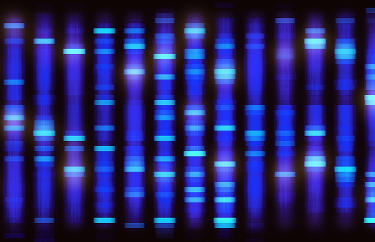 用于Illumina测序溶液的AmpliSeq