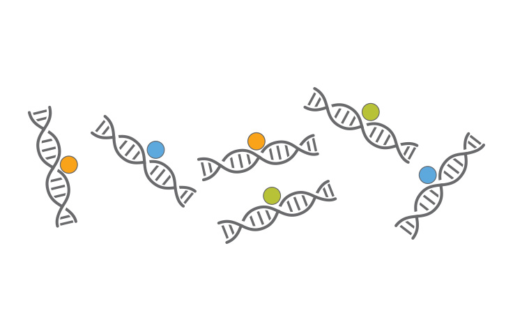 ChIP-Seq