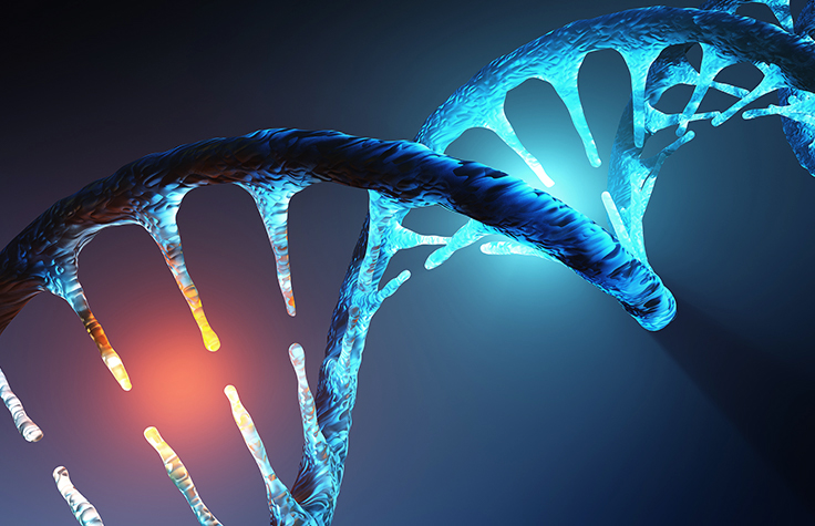 Gene Target Identification