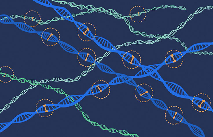 在实验室里的化学物质可能会导致有毒的生物