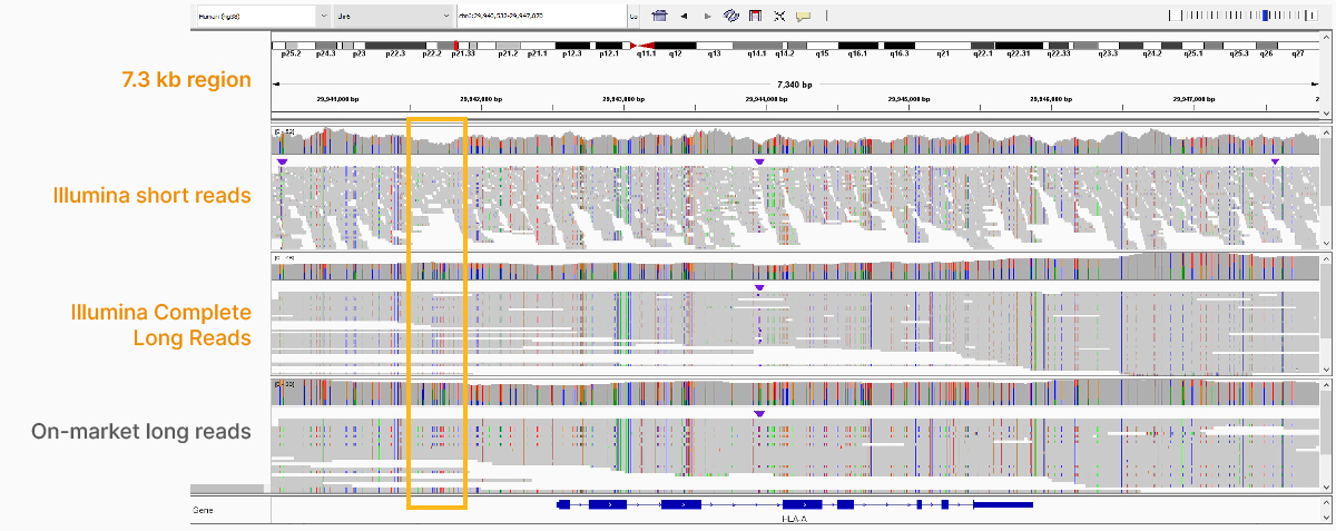 Illumina Complete Long Reads解析多态性区域