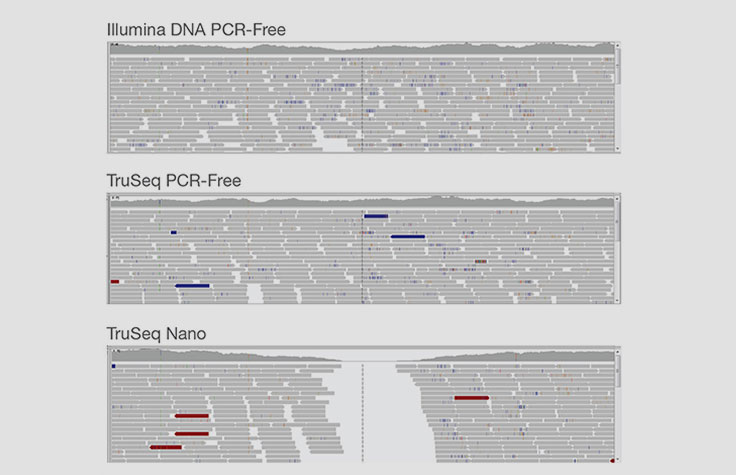 Illumina DNA无pcr覆盖均匀性