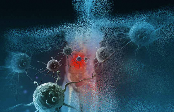 蛋白质和医学研究研究